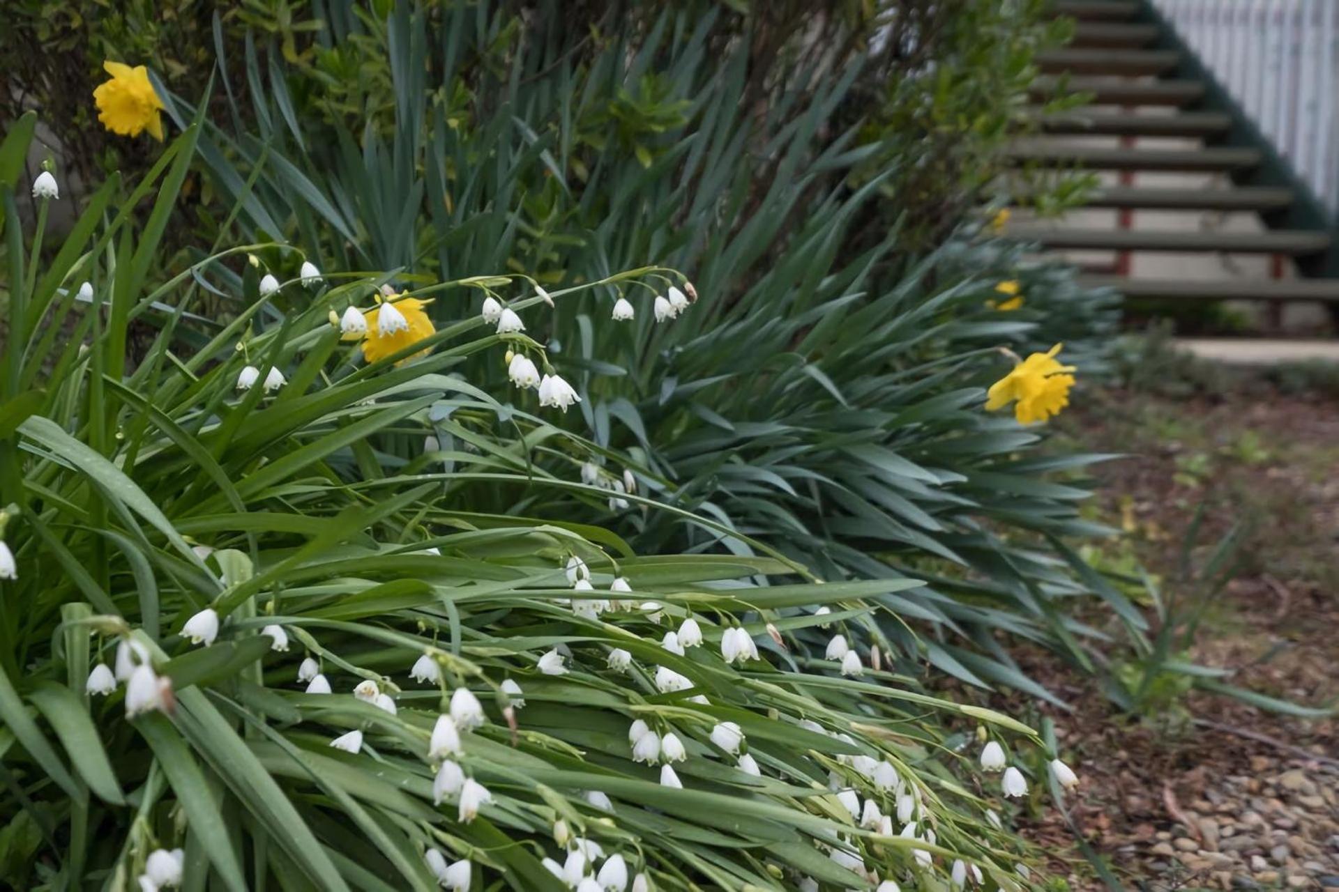 Malvern Cottage Retreat Pet Friendly Blackheath Esterno foto